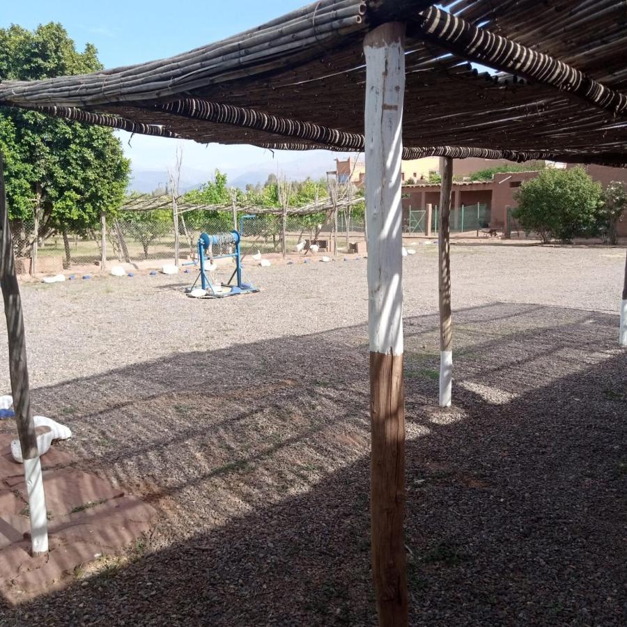 Villa Ferme Berbere Μαρακές Εξωτερικό φωτογραφία